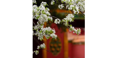 【展会资讯】J9直营集团精机5月展会一览，等您来参观！